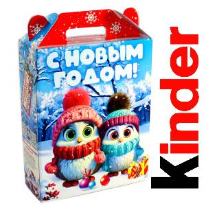 Детский подарок на Новый Год в жестяной упаковке весом 830 грамм по цене 3297 руб в Красноярске